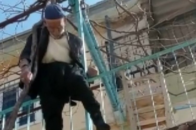 Bayılınca, &ccedil;ıktığı ağa&ccedil;ta asılı kaldı