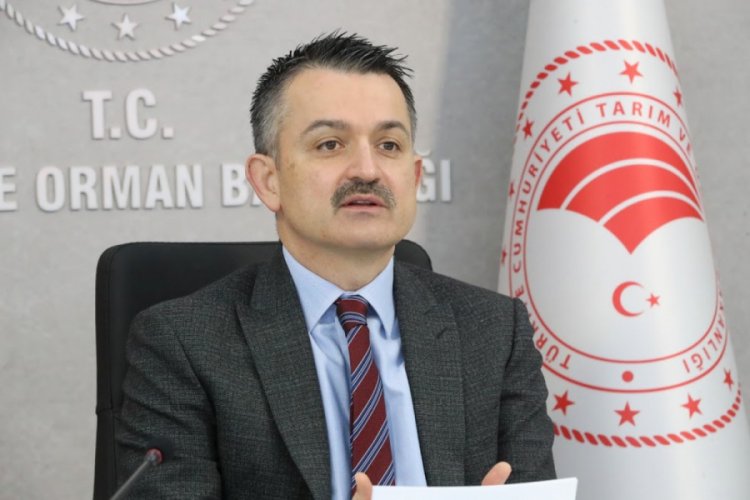 "Cumhur İttifakı dışında siyaset yapanlar yalanın ipine sarılıyor"