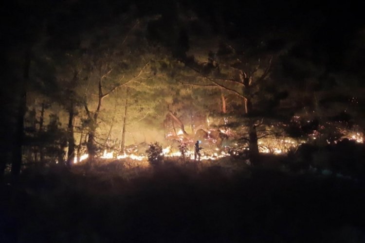 Manavgat'taki yangında 1 hektarlık bozuk kızıl&ccedil;am ormanı zarar g&ouml;rd&uuml;