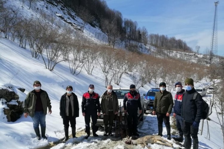 Ka&ccedil;ak avladıkları karacayı taşırken yakalandılar