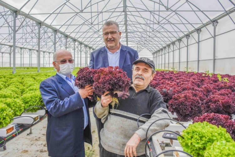 Bursa Karacabey, topraksız tarım uygulamalarıyla da rol model olacak