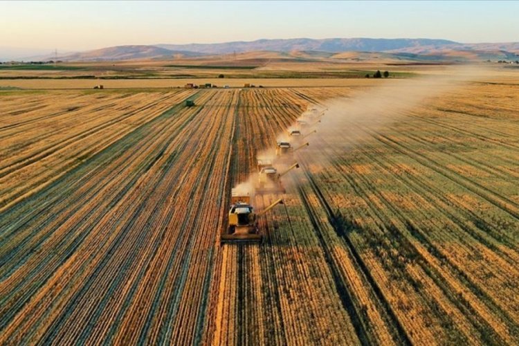 Tarım &Uuml;FE şubatta aylık bazda y&uuml;zde 2,61 arttı