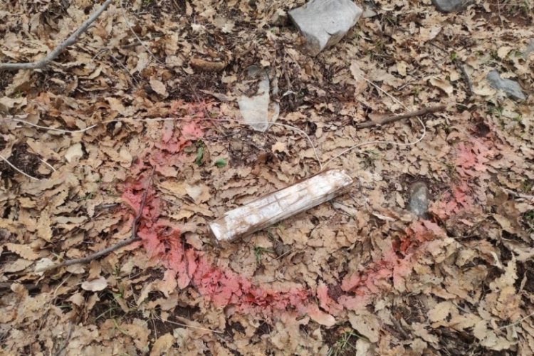 Ter&ouml;ristlerin tuzağı son anda &ouml;nlendi