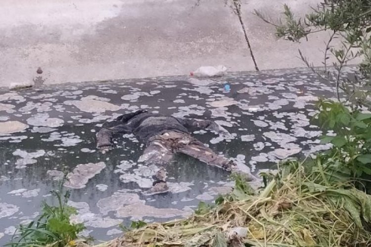 Su kanalında erkek cesedi bulundu