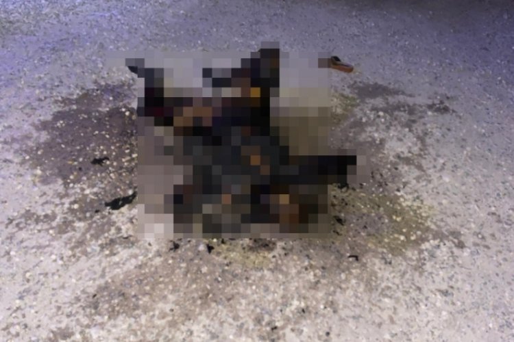 Yol kenarında, yanmış kadın cesedi bulundu