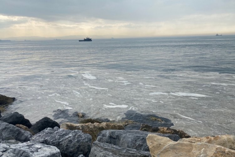 Pendik ve Kartal sahilinde tedirgin eden g&ouml;r&uuml;nt&uuml;