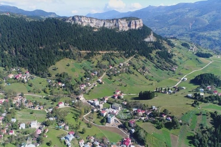 Karadeniz'de ilk insanların yaşadığı mağarayı defineciler, talan etmiş