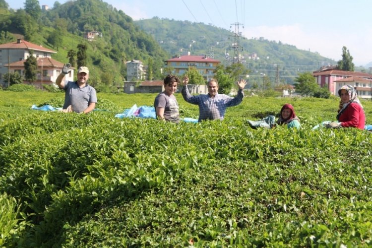 Karadeniz'e '&ccedil;ay g&ouml;&ccedil;&uuml;' &ouml;ncesi kritik 'vaka' uyarısı
