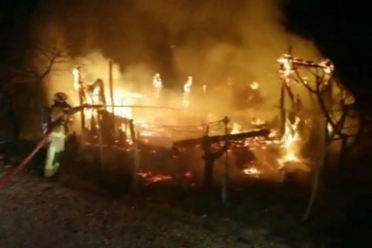 Bursa'da bağ evi yanarak, k&uuml;l oldu!