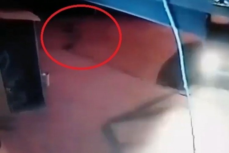 Bursa'da k&ouml;peği ezdi, arkasına bakmadan gitti