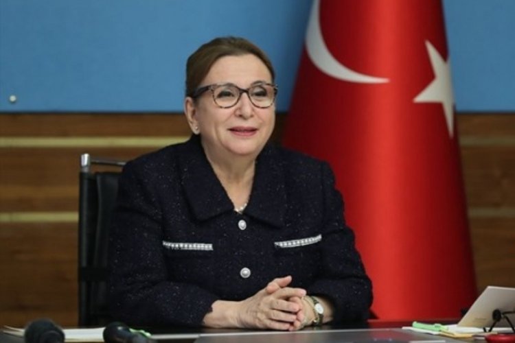 Dış ticaret meslek liseleri geliyor