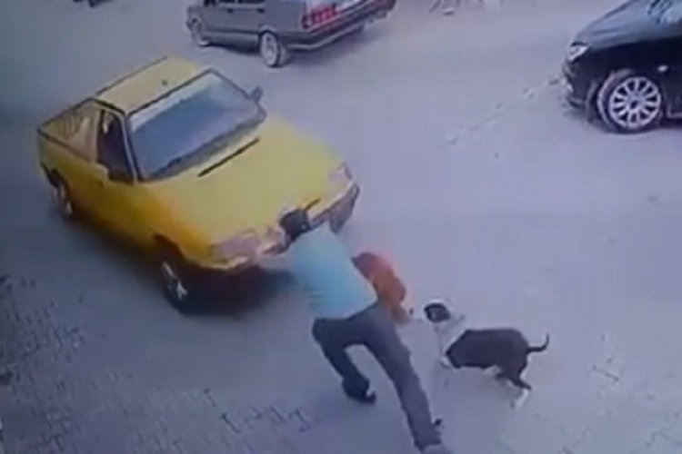 Aracın altında kalmaktan son anda kurtuldu