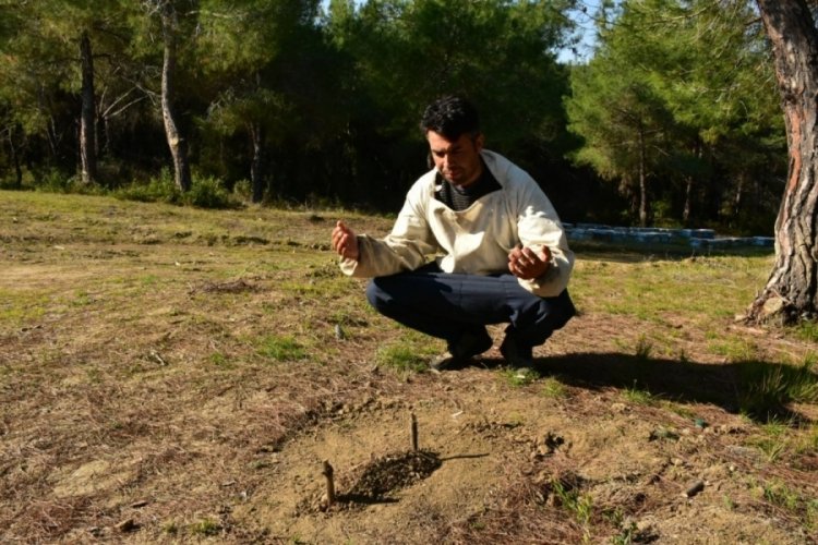 Telef olan binlerce arısını kazdığı mezara g&ouml;m&uuml;p başında dua etti