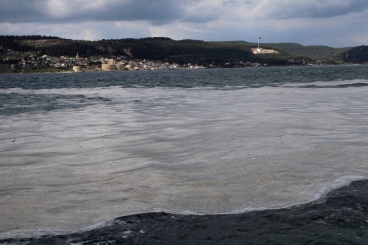 Denizi kaplayan 'm&uuml;silaj', balık&ccedil;ının kabusu oldu