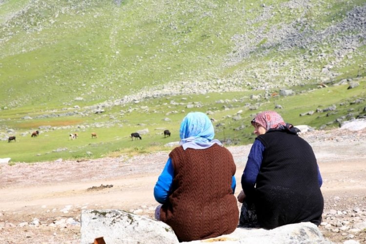 Karadeniz'de vakalar aynı soyadlarda k&uuml;meleniyor