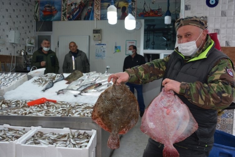 Kalkan balığı tadımlık oldu, fiyatı cep yakıyor