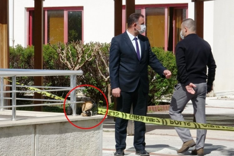 Hastane bah&ccedil;esinde kafatası bulundu