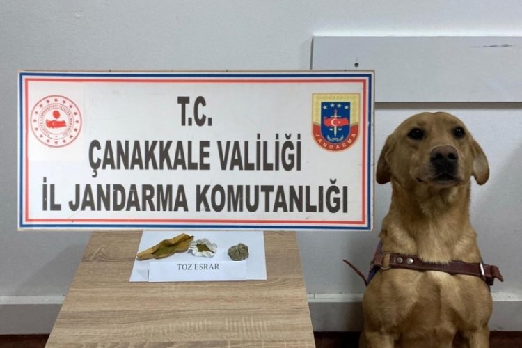 &Ccedil;anakkale'de uyuşturucu operasyonu