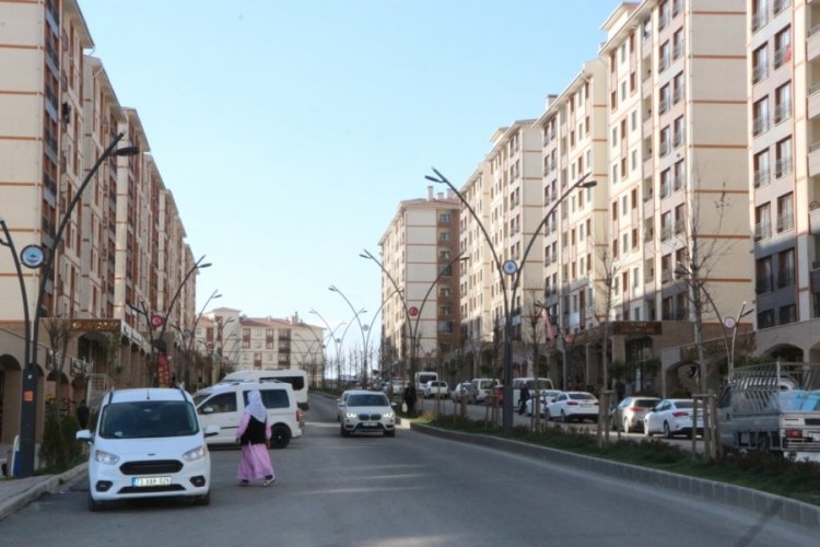 Şırnak'ın mavi kategori başarısı: Sahada denetim