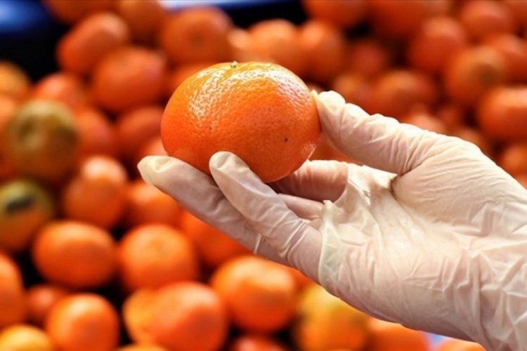 Turun&ccedil;gilde 5 aylık ihracat y&uuml;zde 12 artışla 813 milyon dolar oldu