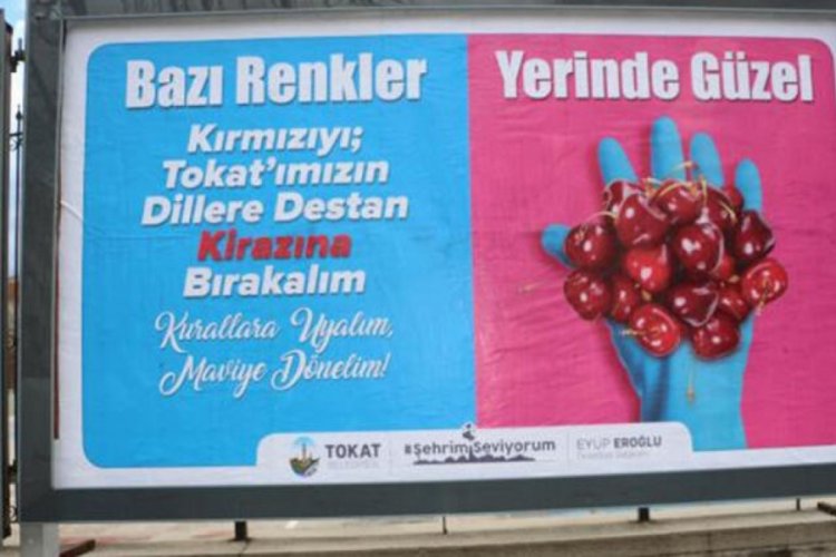 Kırmızı kategorideki Tokat'ta, 'mavi' seferberliği