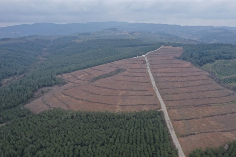 Mudanya'da Bursalı 4 bin 92 Çanakkale şehidi için hatıra ormanı oluşturuldu