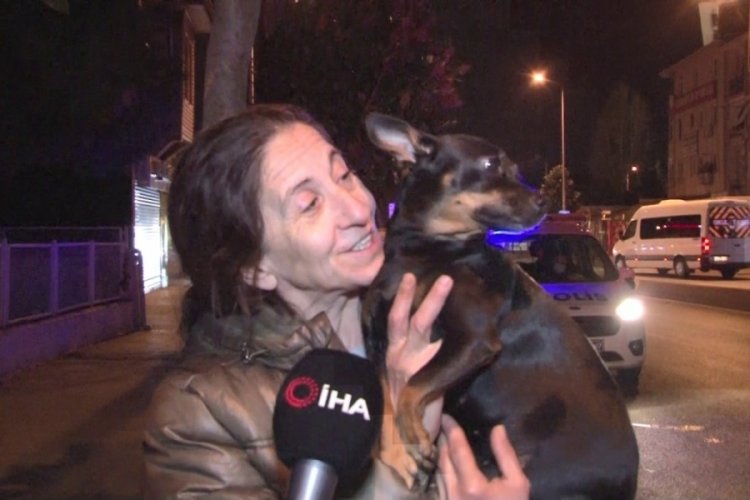 Eve duman dolduğunu g&ouml;ren kahraman k&ouml;pek, sahibini &ouml;l&uuml;mden kurtardı