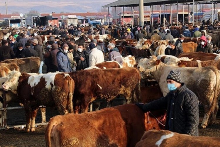 T&uuml;rkiye'nin en b&uuml;y&uuml;k hayvan pazarı koronavir&uuml;s sebebiyle kapatıldı