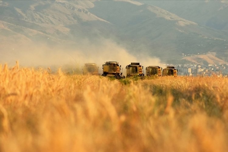 Tarımsal girdi fiyat endeksi ocakta arttı