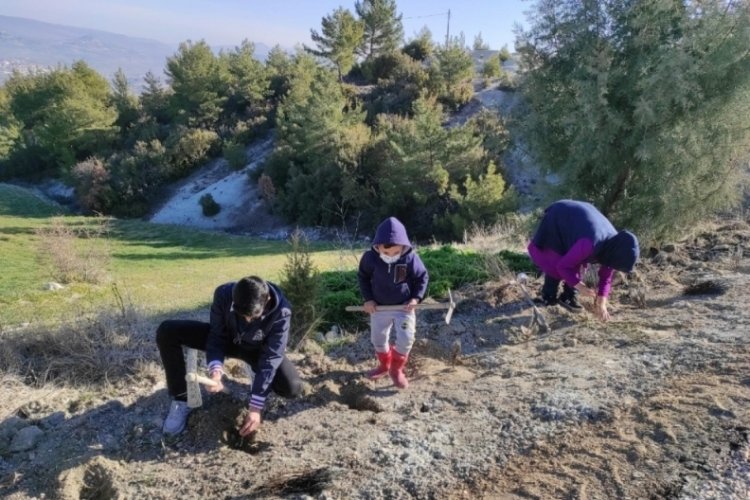 &Ccedil;ift&ccedil;i sayısı azaldı, kamu personeli sayısı ise arttı