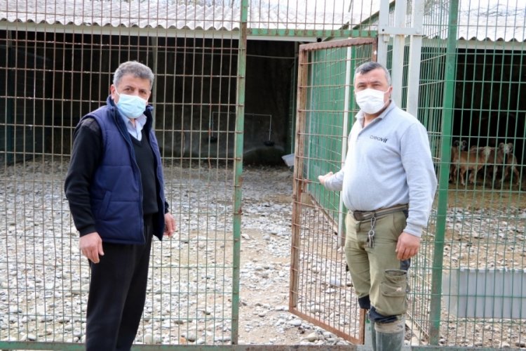 Hayvanat bah&ccedil;esinden geyiği &ccedil;alıp yemişlerdi! Bakıcı yaşananları anlattı