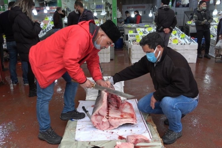 2,5 metre 98 kilogramlık kılı&ccedil; balığı 1 saatte t&uuml;kendi