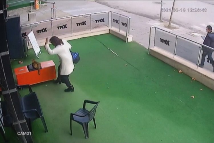 Hamile kediye vuran kadın yakalandı! Cezası bin 33 lira