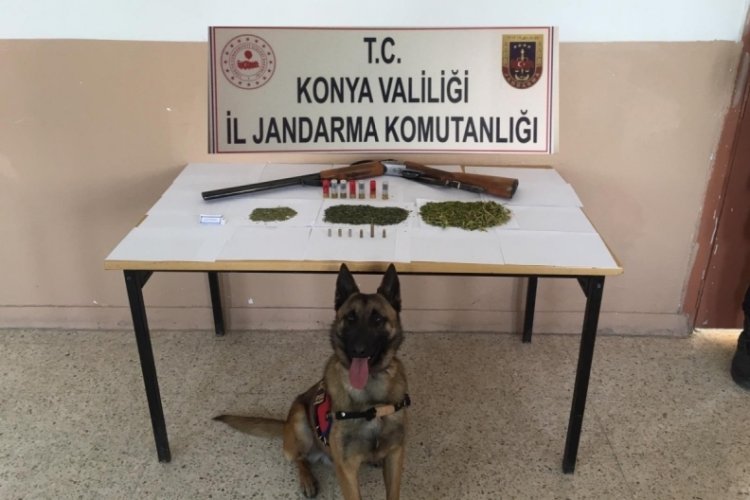 Jandarma'dan uyuşturucu operasyonu