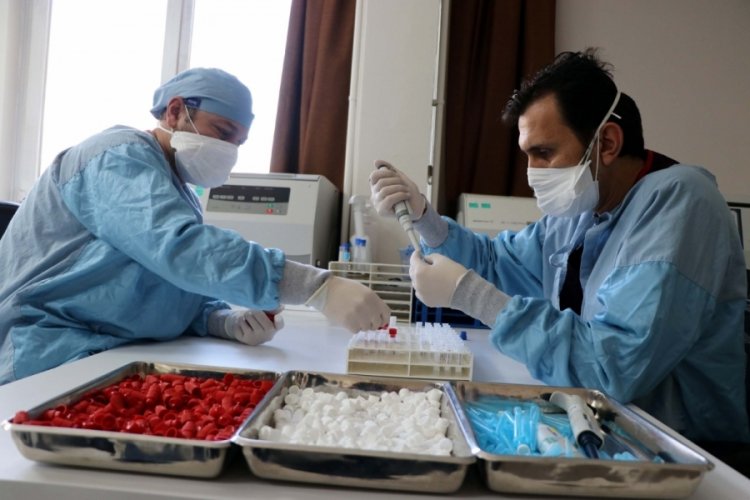 Yerli aşıda nisan ortasında Faz-2 tamamlanacak