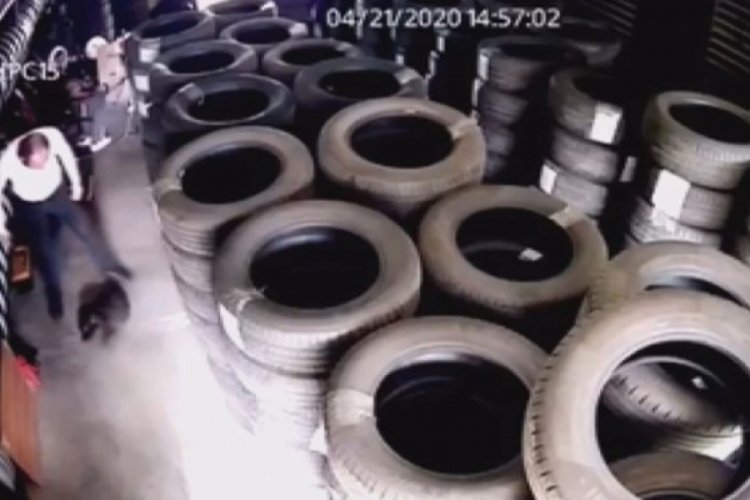 Yavru k&ouml;peği &ouml;ld&uuml;ren cani i&ccedil;in yeni karar