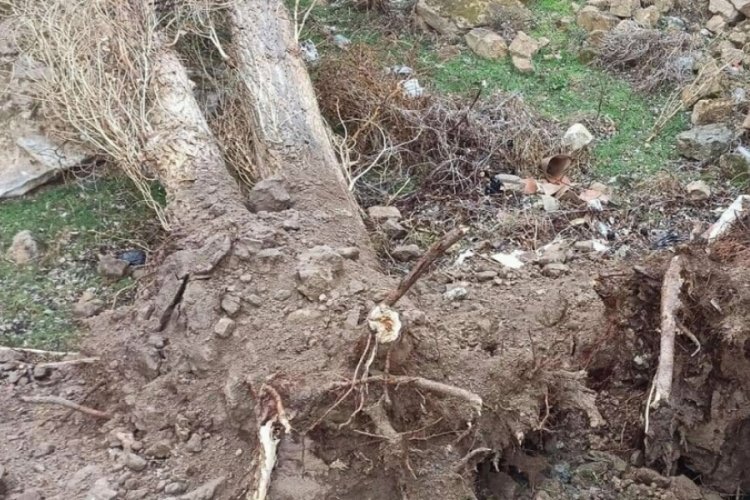 Nevşehir'de fırtına minarenin alemini u&ccedil;urdu