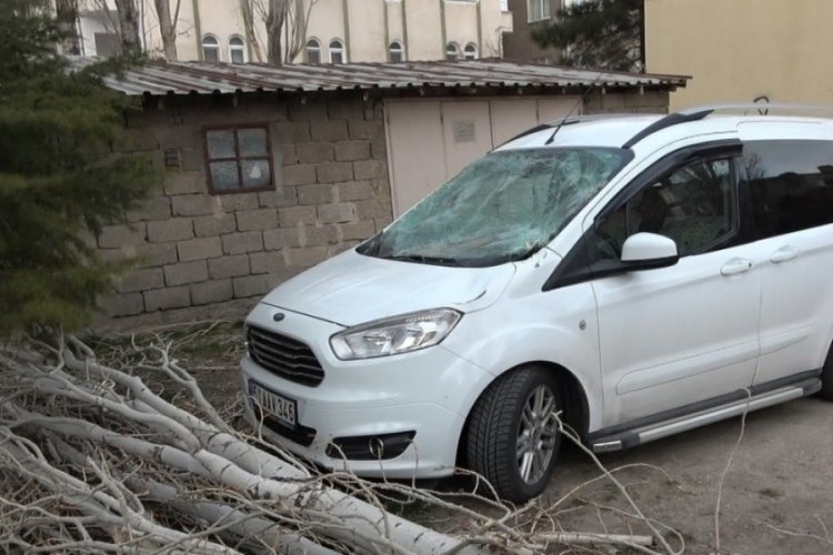 Fırtına nedeniyle ağa&ccedil; otomobilin &uuml;zerine devrildi