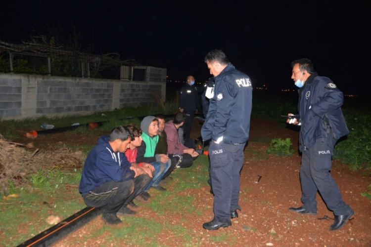 30 kilometre ka&ccedil;tılar, patates tarlasında yakalandılar
