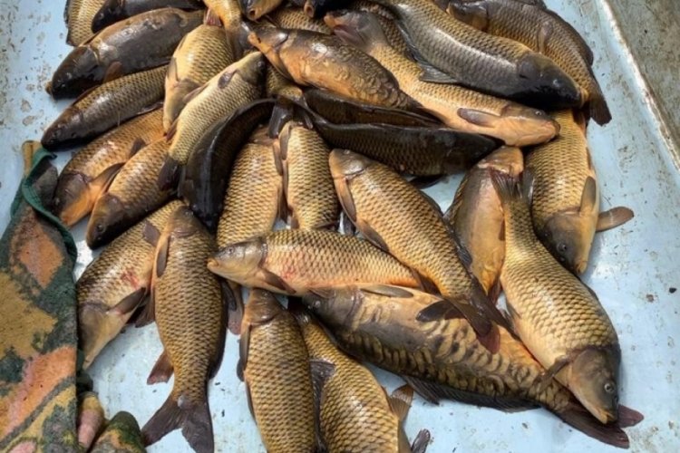 Ka&ccedil;ak balık avına 5 bin 455 lira ceza