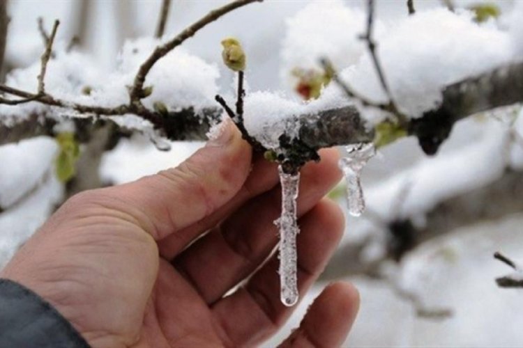 Meteorolojiden 4 ile zirai don uyarısı