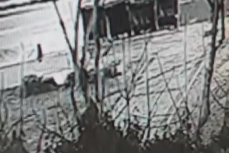 Kız Kulesi'nin karşısındaki ağa&ccedil;ların kesilme g&ouml;r&uuml;nt&uuml;leri ortaya &ccedil;ıktı