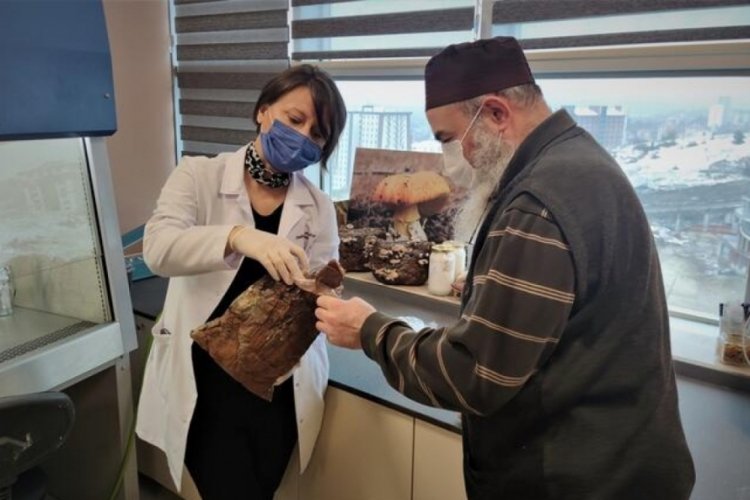 &Uuml;niversitede &uuml;retiliyor, bin liradan satılıyor
