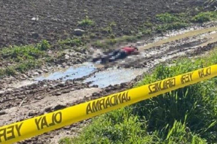 Yol kenarında erkek cesedi bulundu