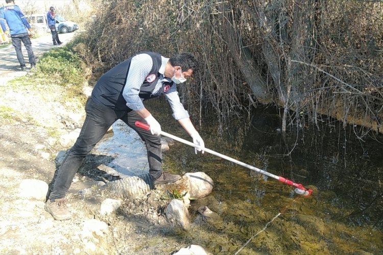 2'si polis 12 kişi kimyasal gazdan zehirlendi: 2 kişi g&ouml;zaltına alındı