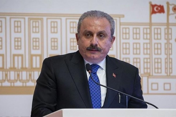 Mustafa Şentop, Atat&uuml;rk b&uuml;st&uuml;ne yapılan saldırıyı kınadı
