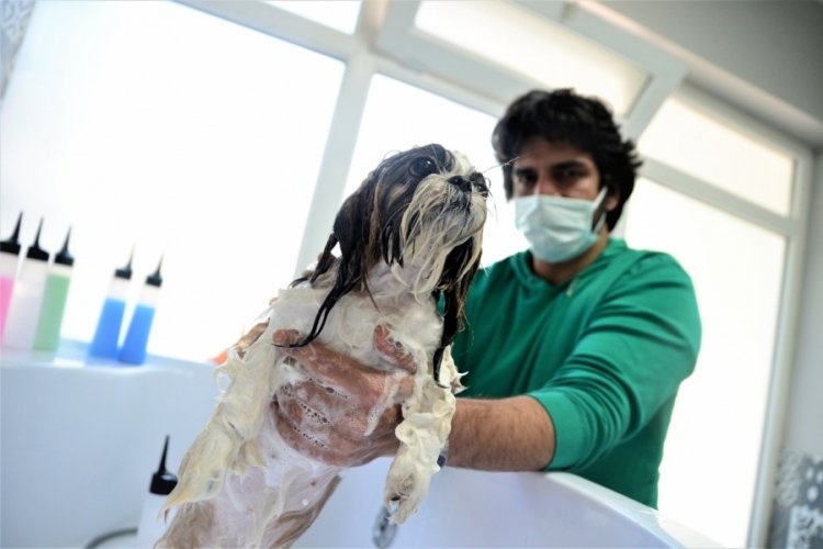 Bursa Da Kopeklere Ozel Kuafor Bakimi Bursada Bugun Bursa Bursa Haber Bursa Haberi Bursa Haberleri Bursa Bursa Da Kopeklere Ozel Kuafor Bakimi Bursada Bugun Bursa Bursa Haber Bursa Haberi Bursa Haberleri Bursa