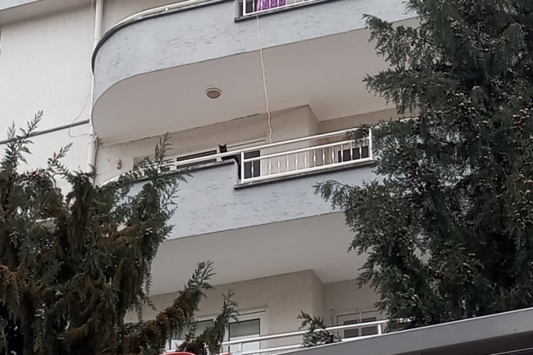 Bursa'da beşinci kattan düşen kedisi kurtarıldı, gözyaşlarına boğuldu