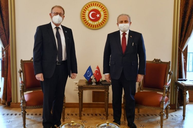 TBMM Başkanı Şentop, AKPM Başkanı Daems ile g&ouml;r&uuml;şt&uuml;