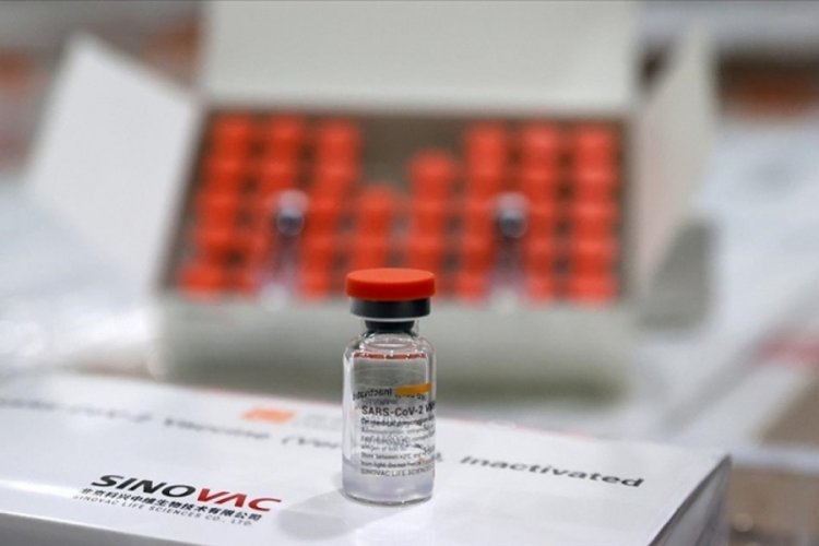 Zimbabve, 1 milyon doz Sinovac aşısı aldı